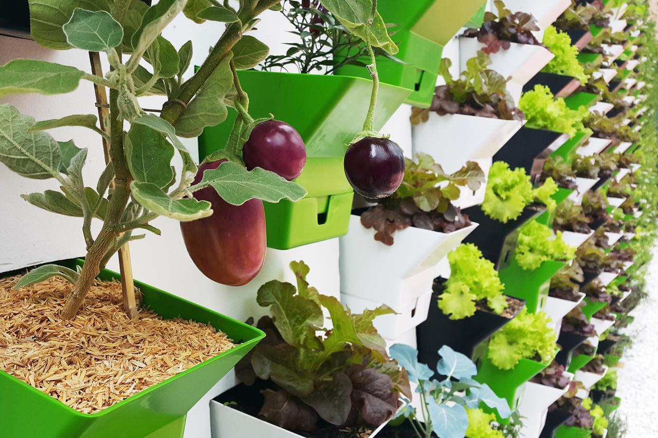 Biohotel Organic Suites Богота Екстериор снимка